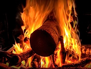 Photo of a Yule Log by Wanye Camlin: http://www.flickr.com/photos/wcamlin/3128857279/